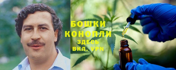 шишки Абдулино
