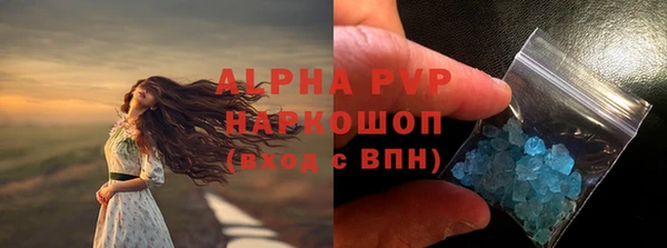 альфа пвп Новодвинск