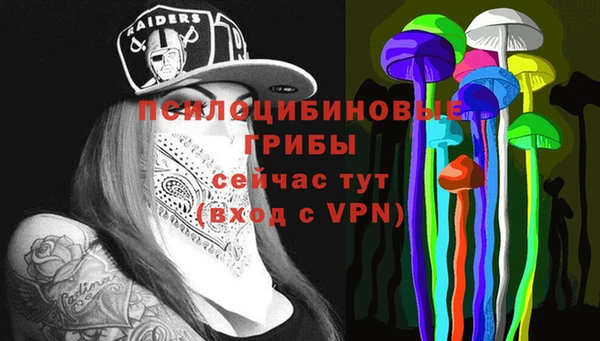 ALPHA-PVP Новозыбков