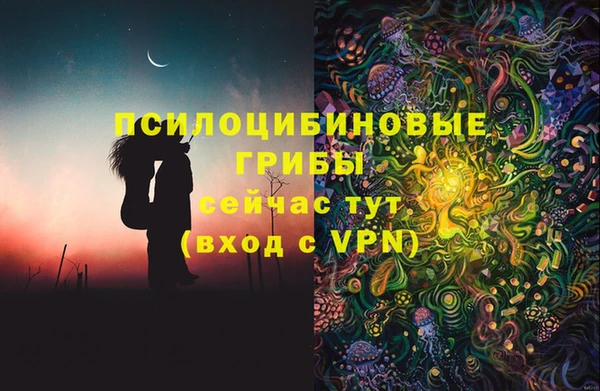 шишки Абдулино