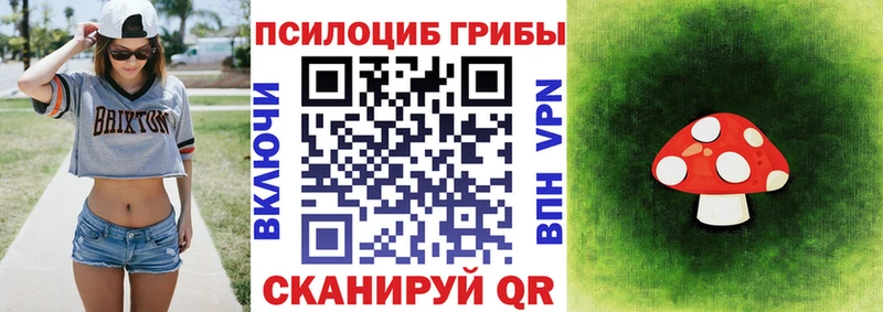 Псилоцибиновые грибы ЛСД как найти закладки Урус-Мартан